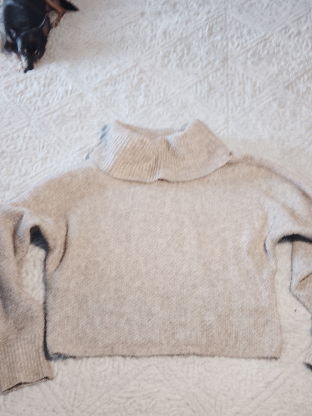 Hippie Rose Cream Cropped Turtleneck Sweater